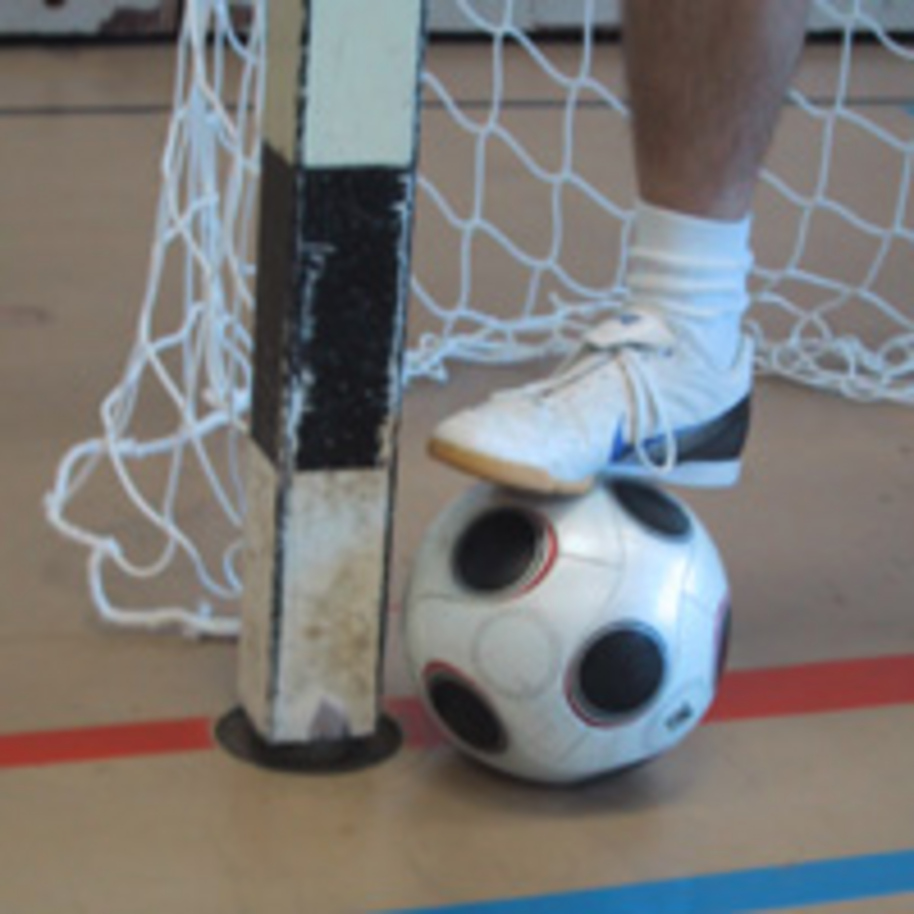 Ballsportclub Würenlos (BSCW)