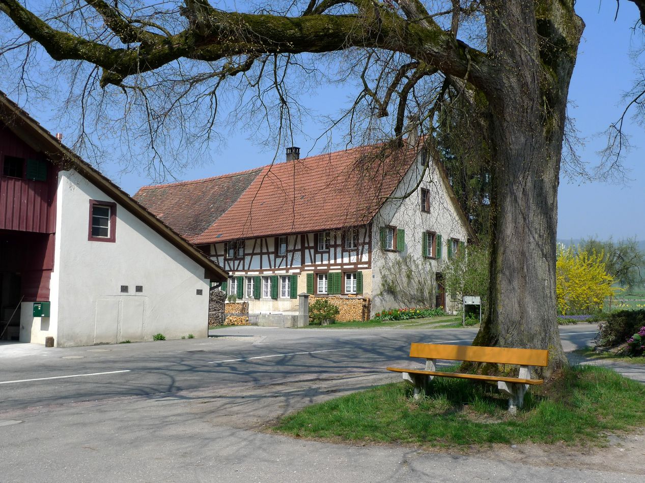 Oetlikon