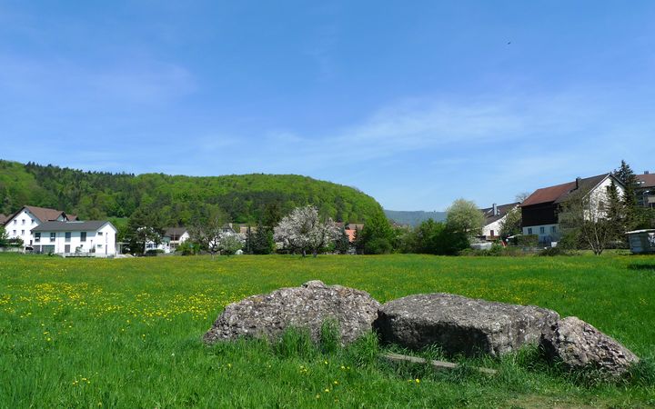 Gesucht: Mitglied für Verwaltungsrat der Alterszentrum Würenlos AG