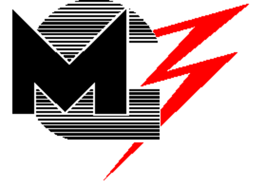 Möckel + Günter Elektro AG